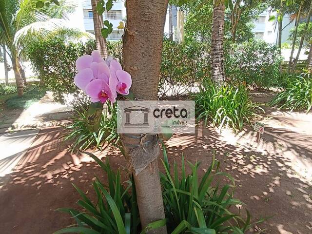 #717 - Apartamento para Locação em Osasco - SP - 3