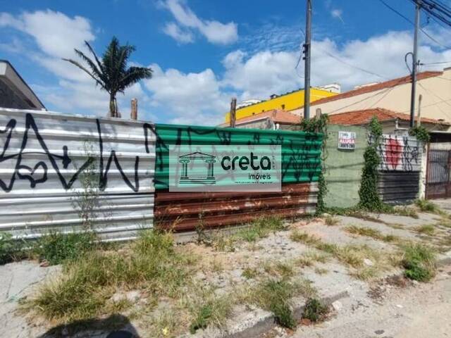 Terreno para Locação em São Paulo - 5